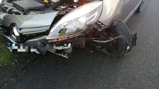 Une famille de 4 personnes percute un sanglier sur l’autoroute