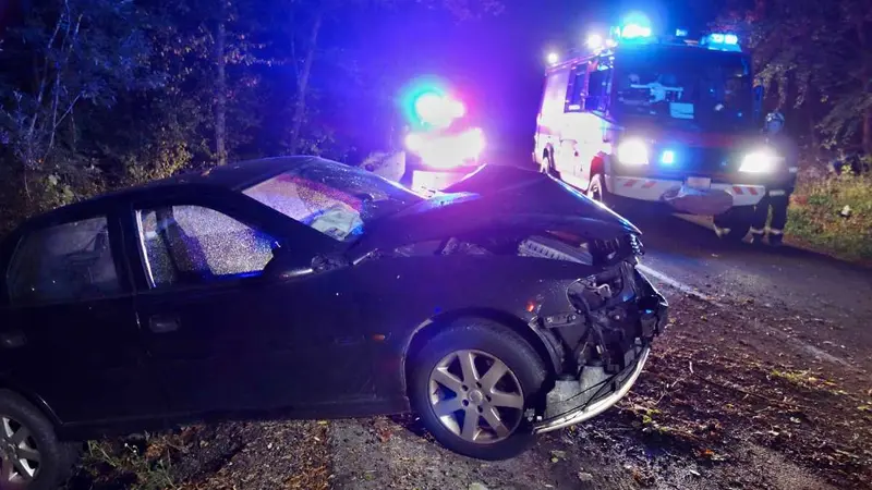 Ille-et-Vilaine : un automobiliste décède aprés une collision avec un sanglier