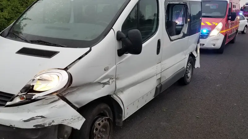 Un chevreuil à l’origine d’un accident mortel dans l’Aude