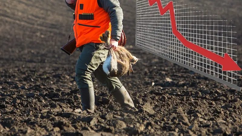 Bilan des accidents de chasse 2022/2023 : un record historiquement bas