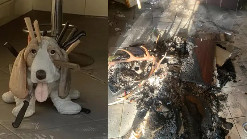 Vandalisme anti-chasse : des couteaux plantés dans une peluche, une bombe insecticide dans le micro-ondes