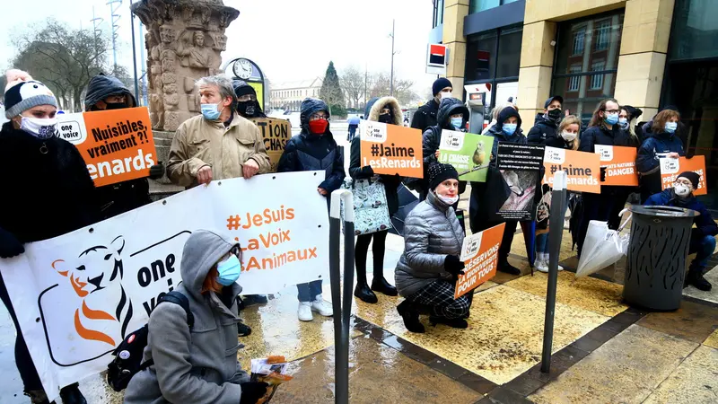 Journée d’action nationale contre la chasse, personne aux manifestations mais toute la presse en parle, pourquoi ?