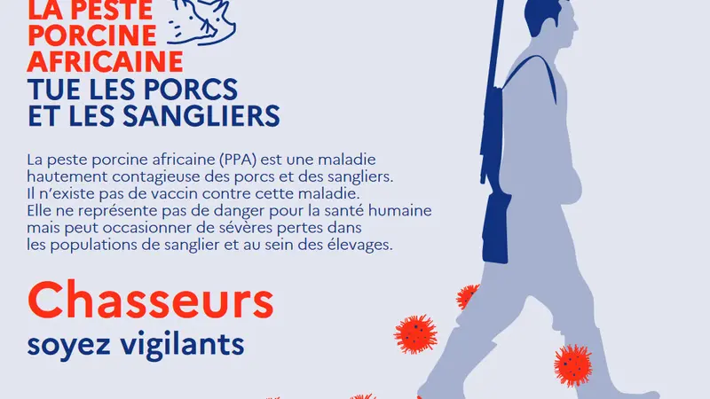 Un foyer de peste porcine africaine a été détecté dans un élevage au nord de l’Italie