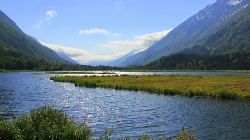 Un célèbre sportif pointé du doigt pour avoir chassé l’ours en Alaska par le média de Hugo Clément