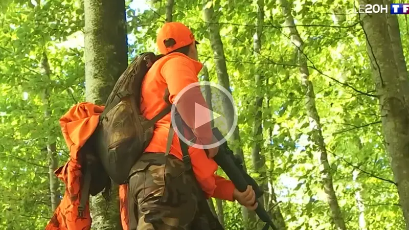 Alcool à la chasse, quand TF1 découvre la réalité du terrain
