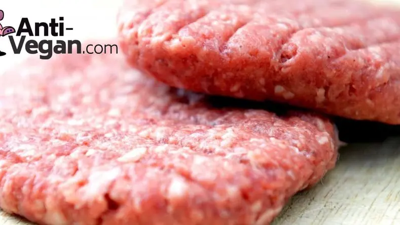 Le site anti-vegan.com