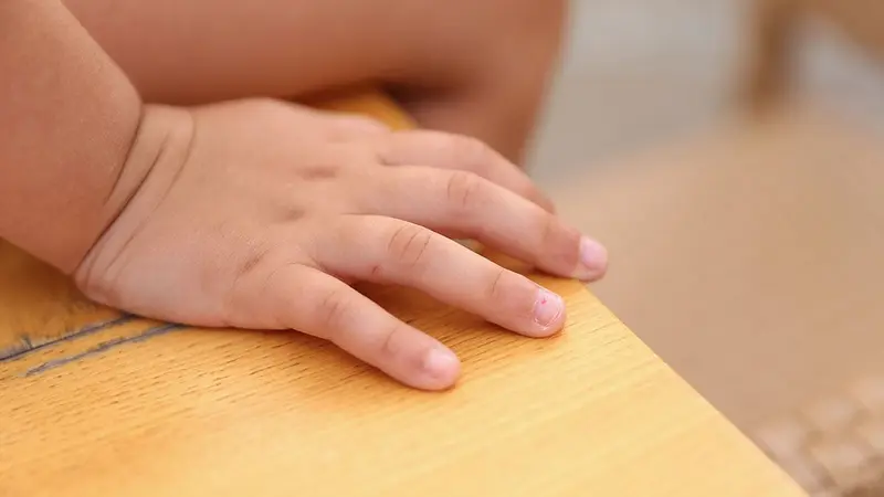 Un couple d’antispécistes poursuivi pour des faits de pédopornographies