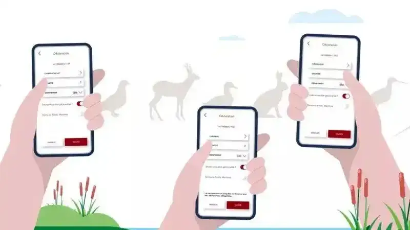 application ChassAdapt