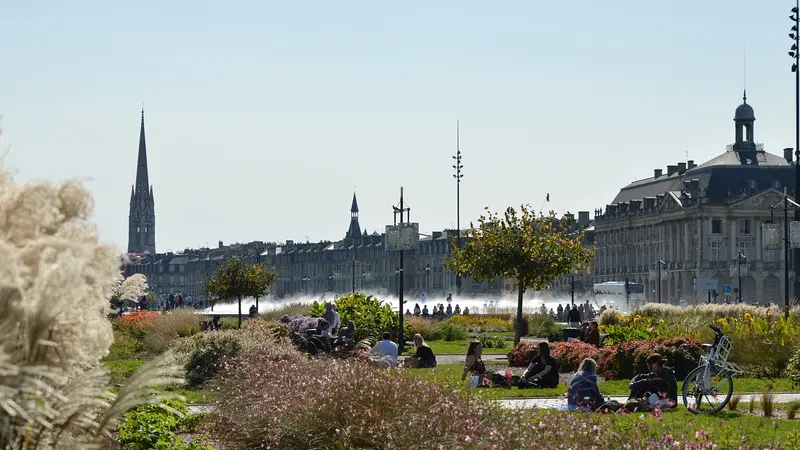 La ville écologiste de Bordeaux a fait planter des milliers d’arbres qui ne sont toujours pas payés