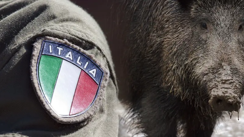 L’armée pourrait remplacer les chasseurs pour résoudre le problème des sangliers en Italie