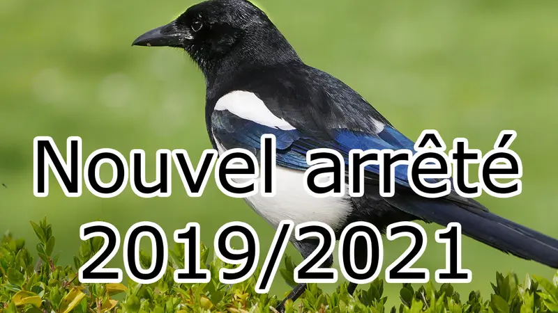 Liste des espèces susceptibles d’occasionner des dégâts : le nouvel arrêté triennal est paru