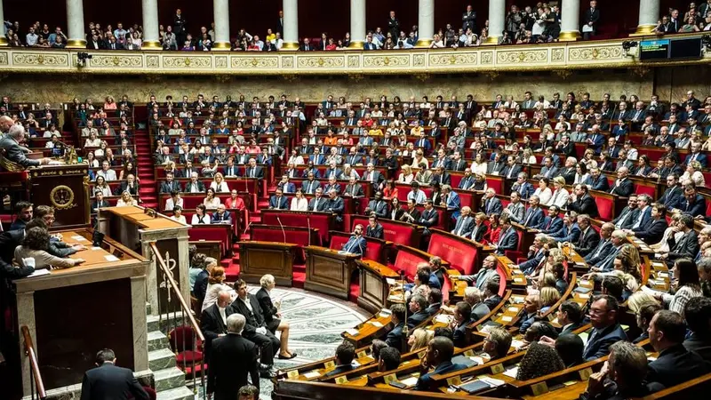 Bien-être animal : la proposition de loi Villani renvoyée à plus tard faute de temps