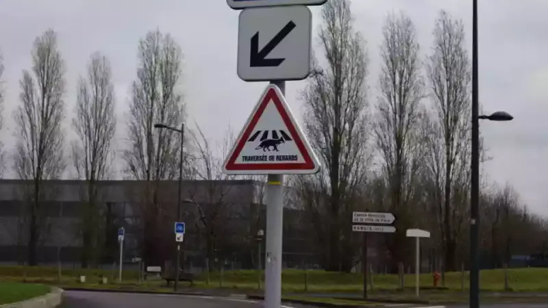 Une ville installe des panneaux « traversée de renards »