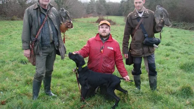 Des fauconniers à la chasse à la bécasse