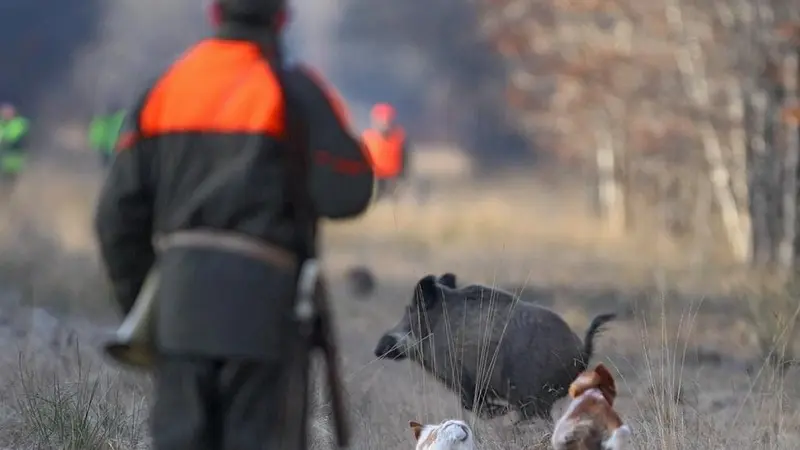 Les chasseurs aveyronnais chassent pour les Restos du Cœur
