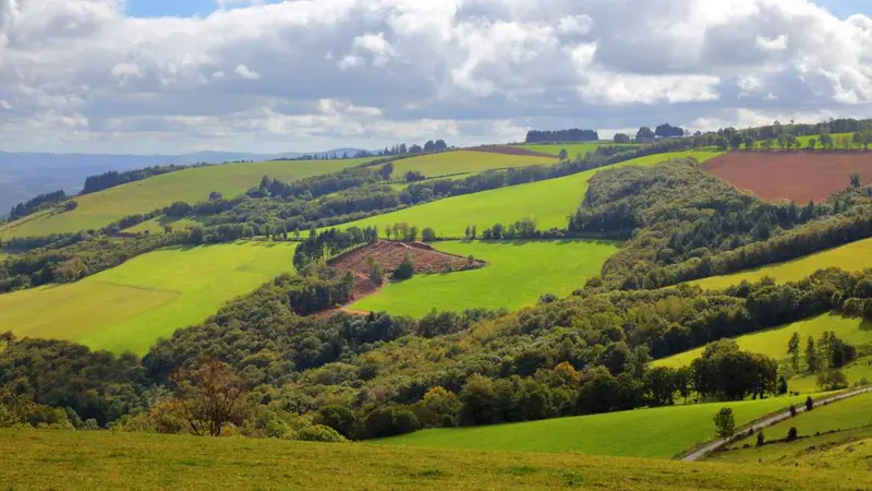 7 sociétés de chasse s’unissent pour chasser sur 7000ha dans le Lot et l’Aveyron