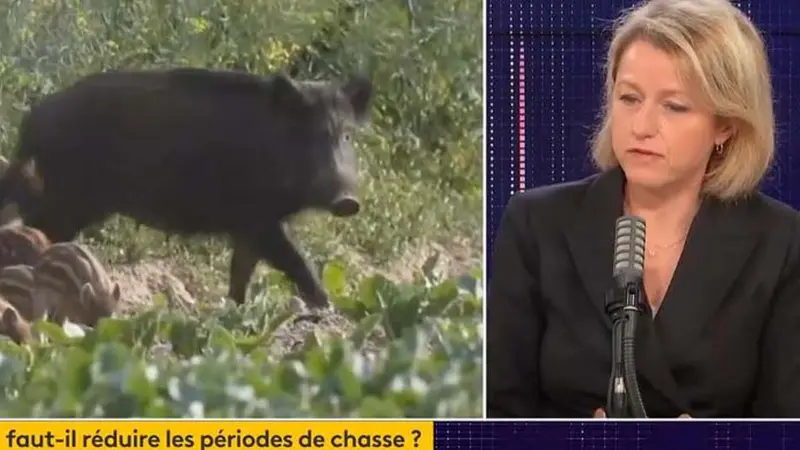 Barbara Pompili répond aux maires d’Ille-et Vilaine au sujet des accidents de chasse