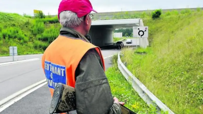 Circulation difficile dans le Morbihan : les chasseurs vont profiter d’une route fermée le temps d’une battue