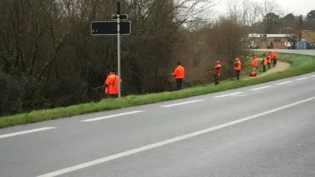 Battue administrative en Gironde, 140 chasseurs pour 5 sangliers