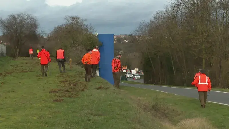 Agglomération de Poitiers « Toutes les 2 nuits il y a une collision avec un sanglier sur la rocade »