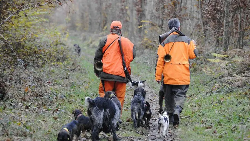 Chasse au sanglier : 1.5 million d’euros mis à la disposition des chasseurs de l’État de Saxe