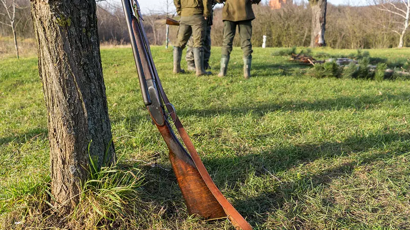 Premier bilan à chaud de l’ouverture de la chasse 2018/2019 dans le sud de la France.
