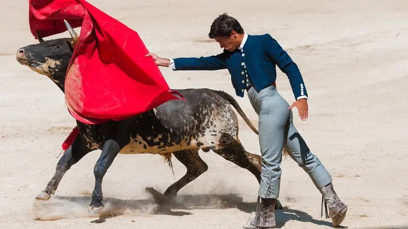 L’alliance anti-corrida s’offre un spot publicitaire à la télévision