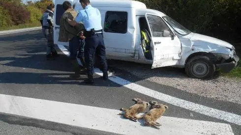Des braconniers foncent sur les agents de l’ONCFS