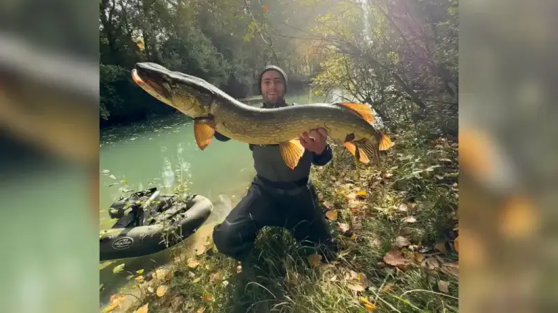 brochet dans le Clain