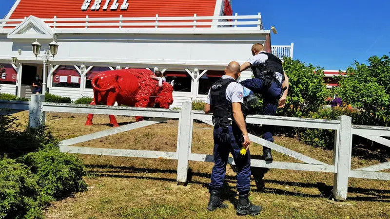 Essey-lès-Nancy : il tire à l’arc sur le bison de Buffalo Grill