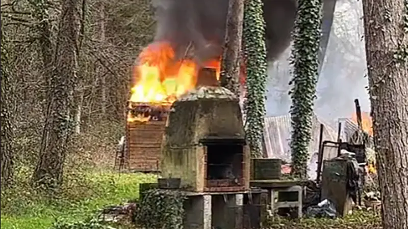 Une cabane de chasse incendiée, un chien meurt à l’intérieur (vidéo)
