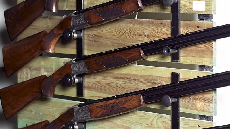 Puy-de-Dôme : 11 fusils de chasse volés