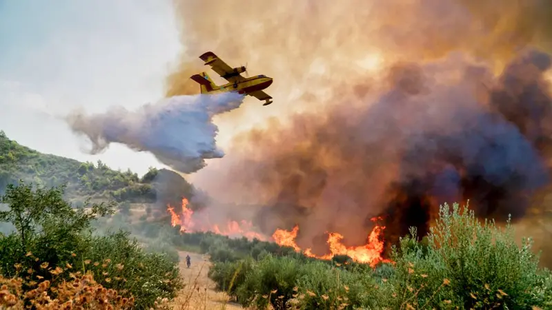 Incendies en Gironde : la solidarité des chasseurs s’organise