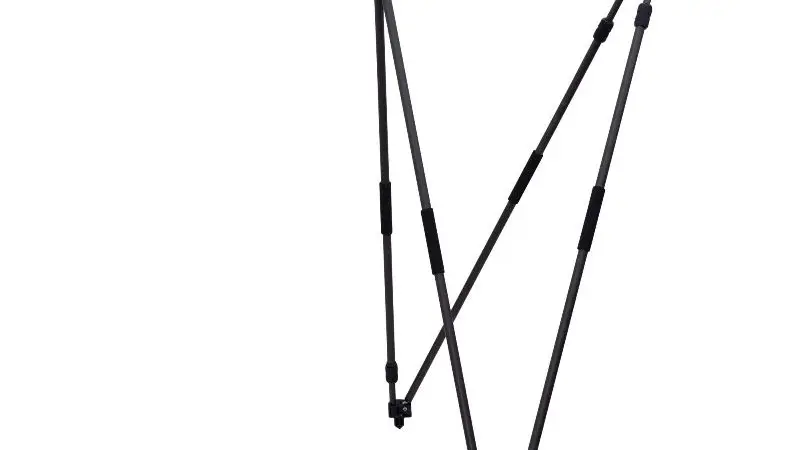 Blaser lance sa canne de pirsch