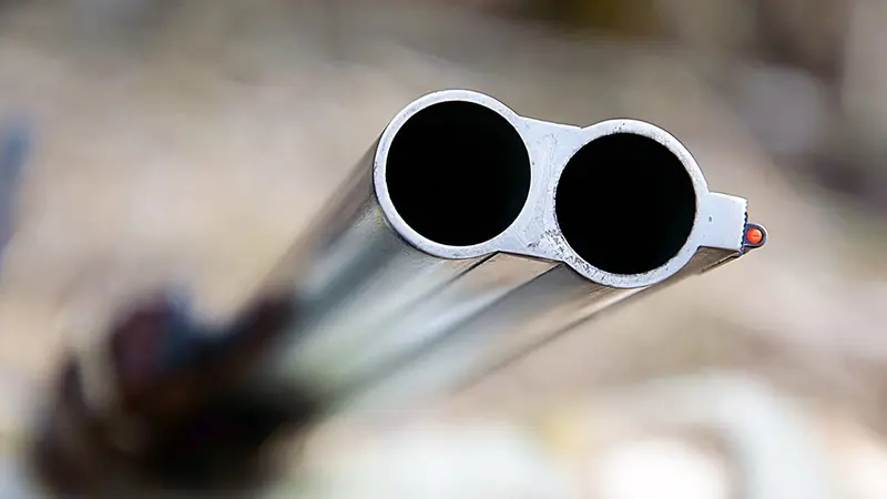 Les canons des fusils de chasse