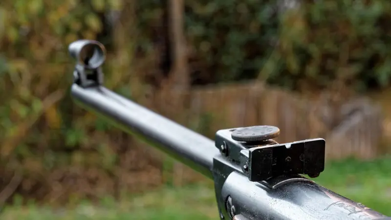 Quelles sont les conditions pour acheter une carabine à plombs ?