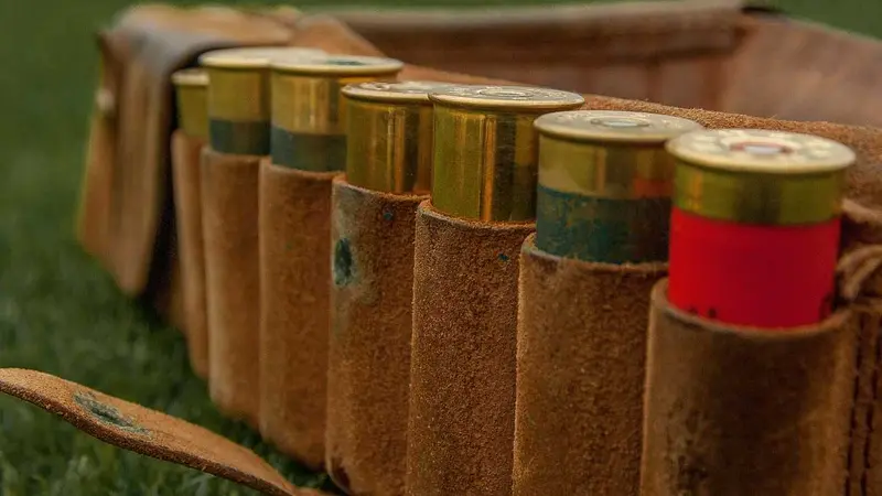 cartouches de chasse recyclées