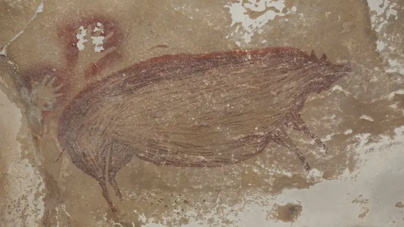 Sanglier des célèbes