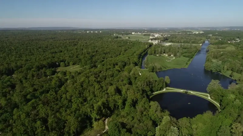 Un lot de chasse de 930 hectares en forêt de Chantilly cherche sa future équipe