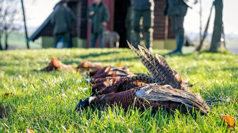 La chasse suspendue dans 50 communes de la Meuse et de la Meurthe-et-Moselle