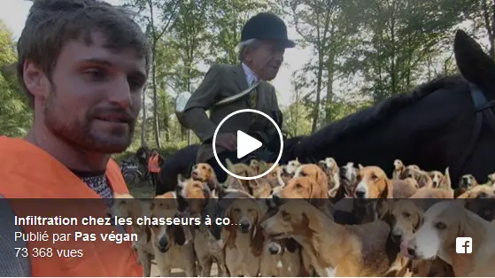 Découvrez la chasse à courre à travers l’oeil d’un anti-vegan