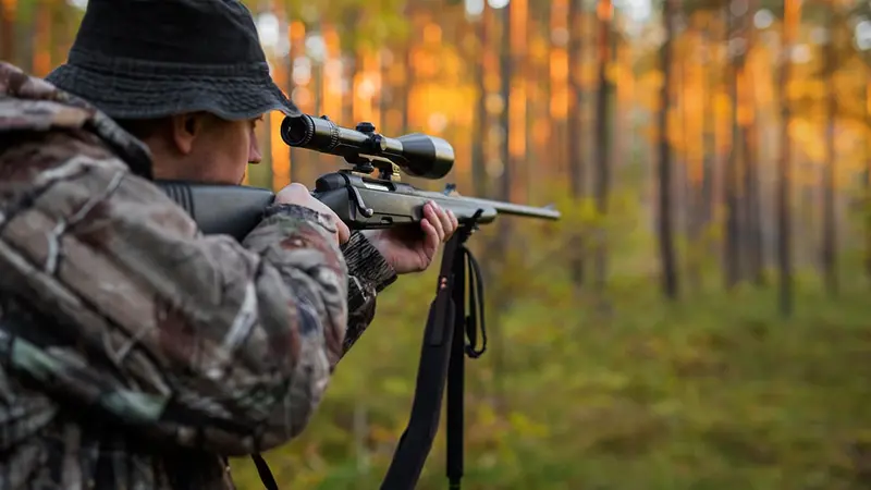 La chasse à l'approche ou au pirsch