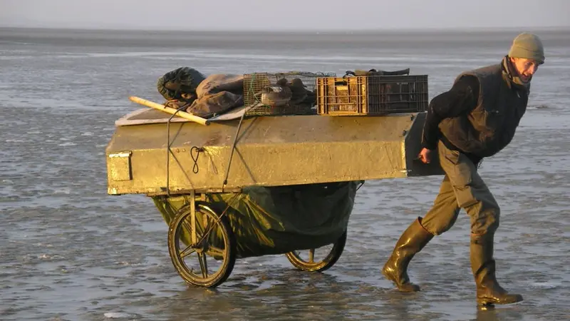 Chasse au hutteau ou cerceuil