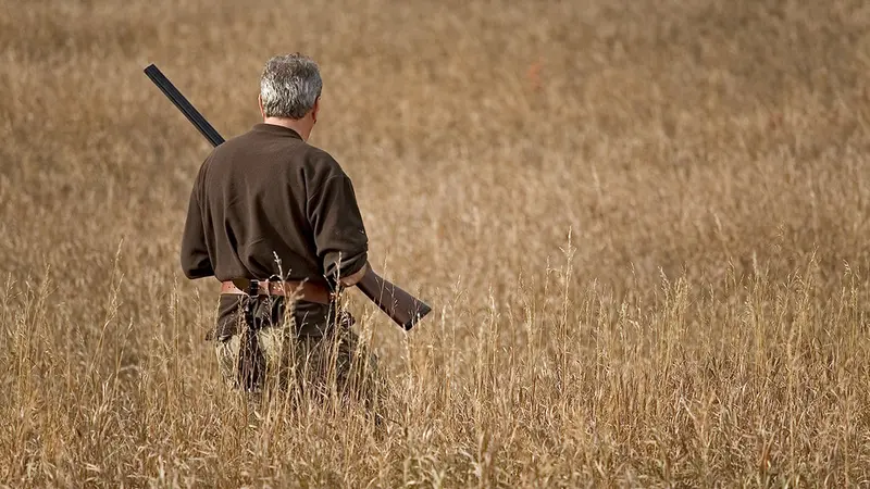Chasse à la billebaude