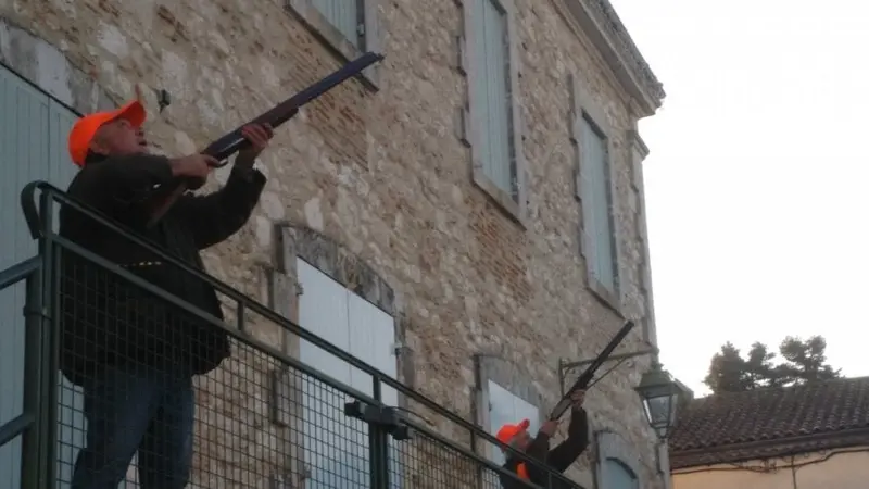 Une battue aux pigeons en centre-ville
