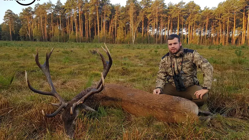 Récit : chasse au brame en Pologne