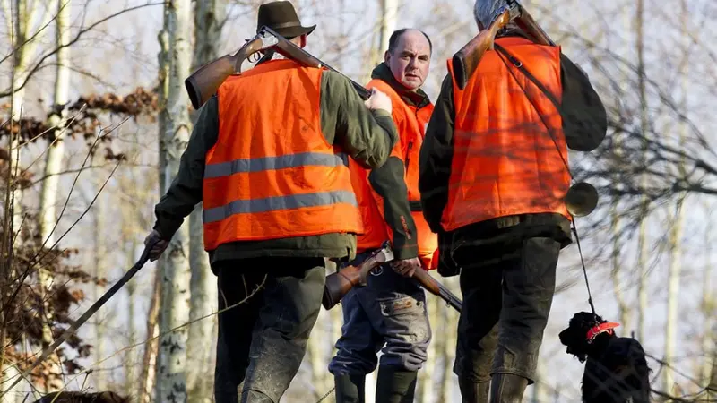 Corrèze : les mesures dérogatoires de chasse sont en ligne