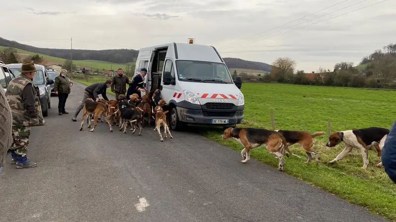 Un maire déclare la guerre à la chasse à courre, la jugeant même illégale