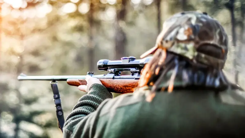 Un département propose 200 000€ pour réguler la faune, un premier pas vers la professionnalisation de la chasse ?