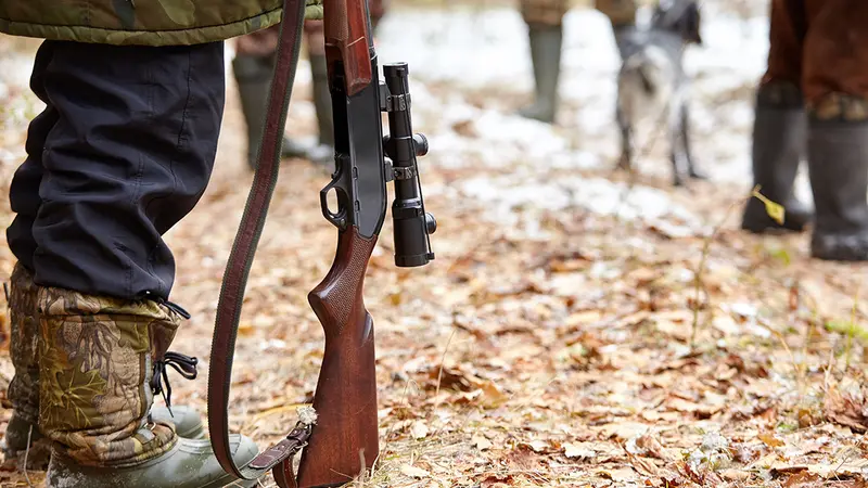 La chasse en battue